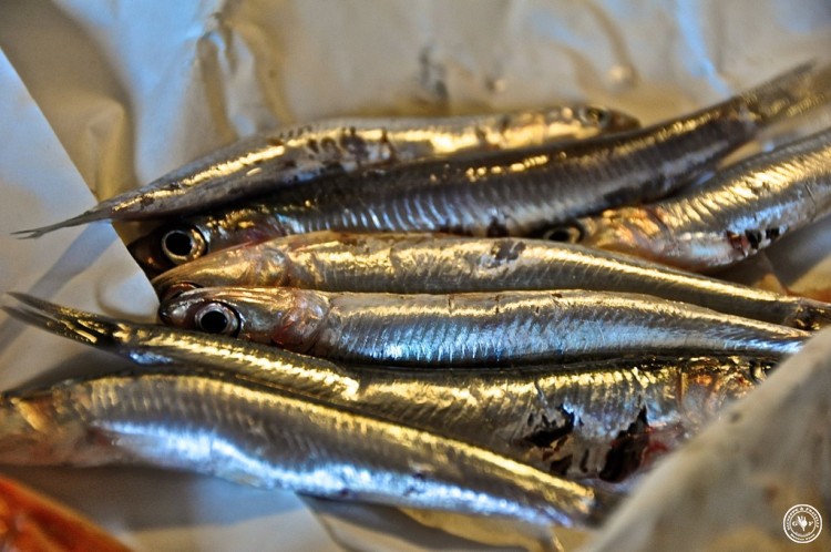 1-sardinen