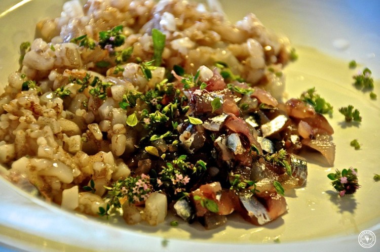 14-fuellung mit kraeutern