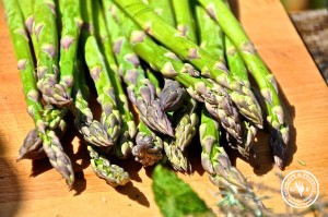 27-spargel