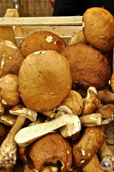 35-crema di porcini atmo