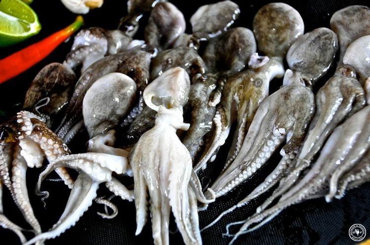 bo-12-gruppenbild-galerie