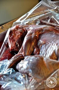 nix fuer schwache nerven 1