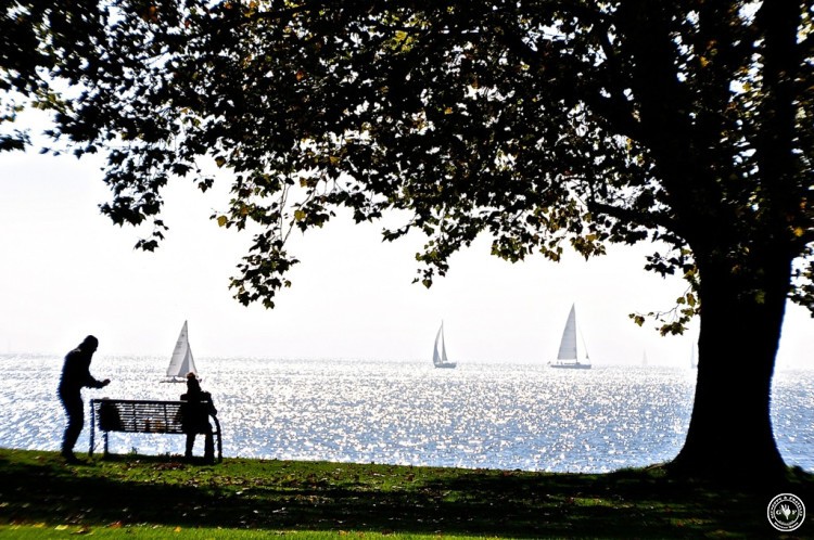 scherenschnitt 1-red Kopie