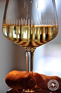 vino bianco