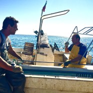 Sepia fischen mit Paolo