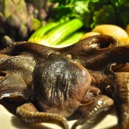 Polpo Heinz mag es heiss