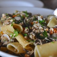 Mittagssprint – die Turbonudel