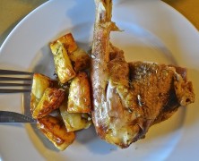 Pollerich – ein Leben in der Vogelkrippe