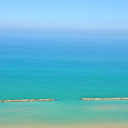 Sommer BBQ – wenn der Nachbar kommt