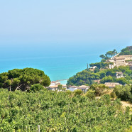 Entmuffen wir die Kaffeefahrt! Wer kommt mit?