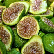 Wer is(s)t hier Feige? FeigenRicottaTarte & Co. KG