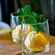 Mandarinen-Blutorangen-Sorbet – Teil 5 Neptuns Festtagsmenü