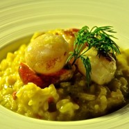Safran-Risotto mit Jakobsmuscheln – Teil 3 Neptuns Festtagsmenü
